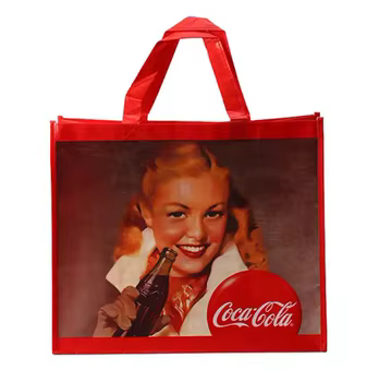 Food program bag